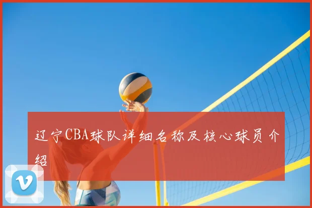 辽宁CBA球队详细名称及核心球员介绍