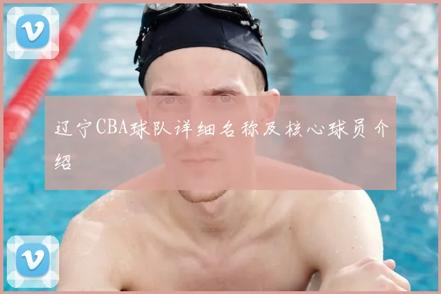 辽宁CBA球队详细名称及核心球员介绍