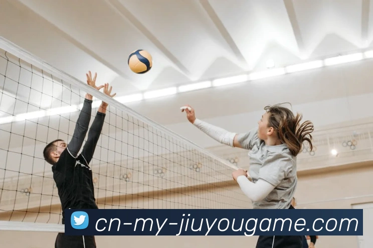 J9九游平台生态图